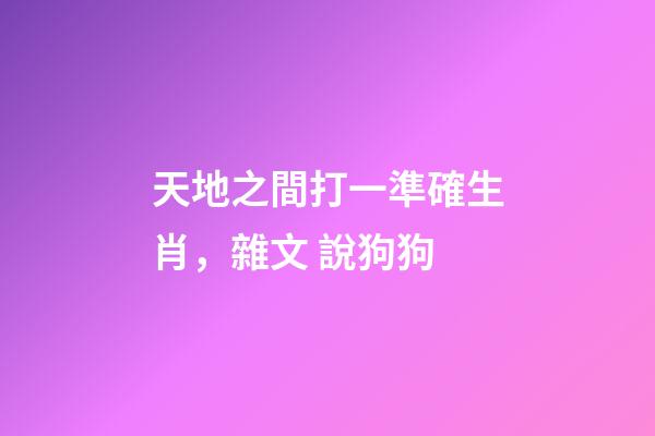 天地之間打一準確生肖，雜文 說狗狗-第1張-觀點-玄機派